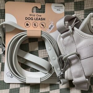 BUNDLE Wild One Gray Dog Leash & Harness